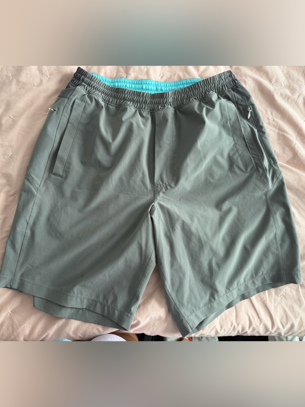 Bird dogs shorts